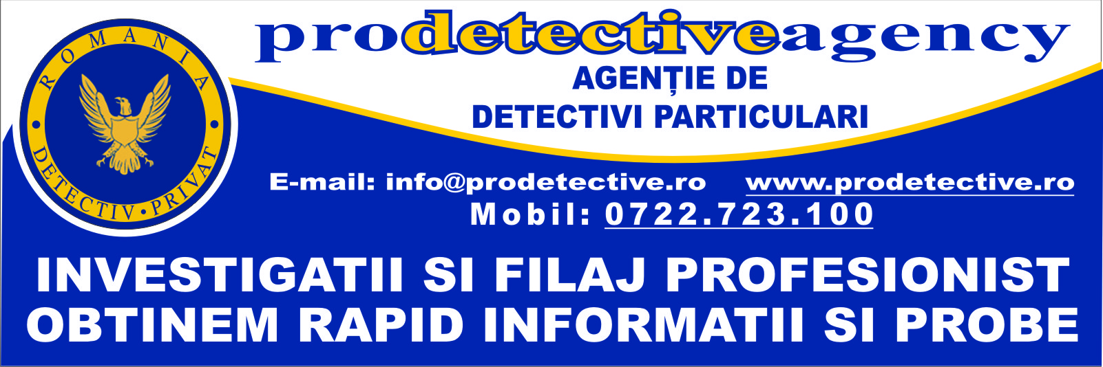 banner new pro detective